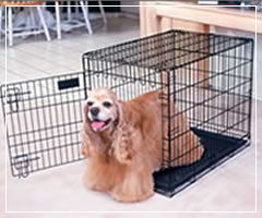 Foldable Animal Cages