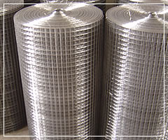 Galvanized Before Welded Wire Mesh