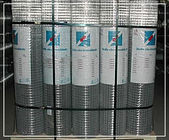 Galvanized After Welded Wire Mesh