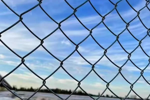 Chain Link Fence