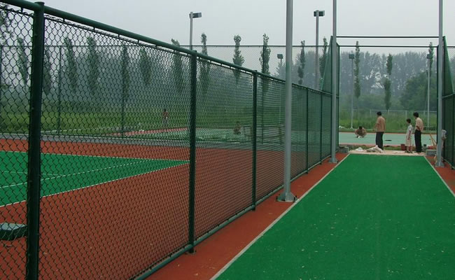 Chain Link Fence