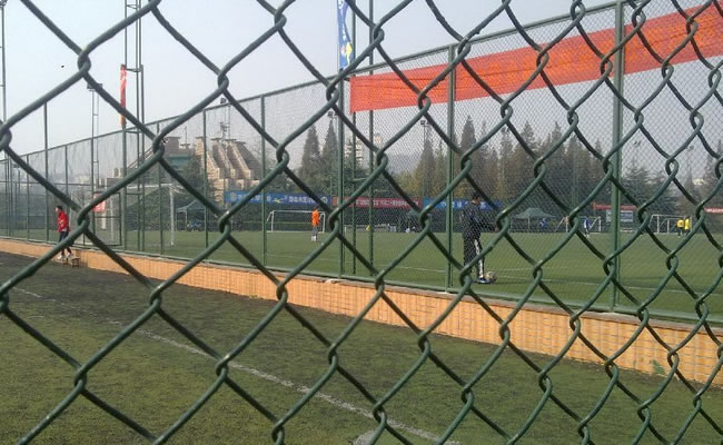 Chain Link Fence